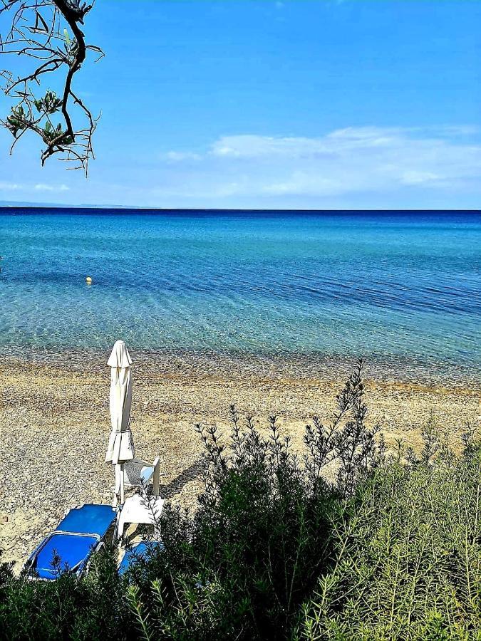Mare Nostrum نيوس مارماراس المظهر الخارجي الصورة