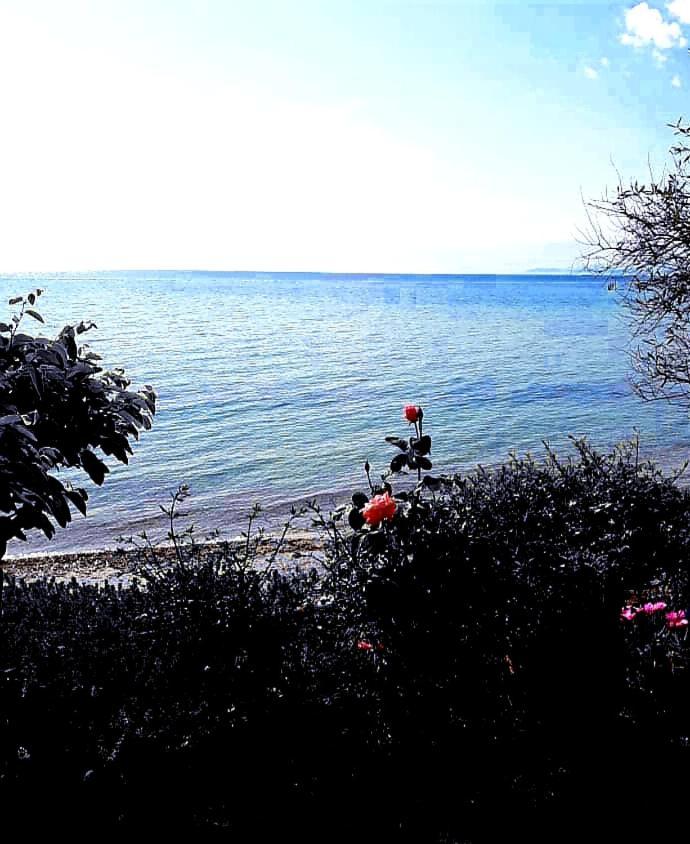 Mare Nostrum نيوس مارماراس المظهر الخارجي الصورة
