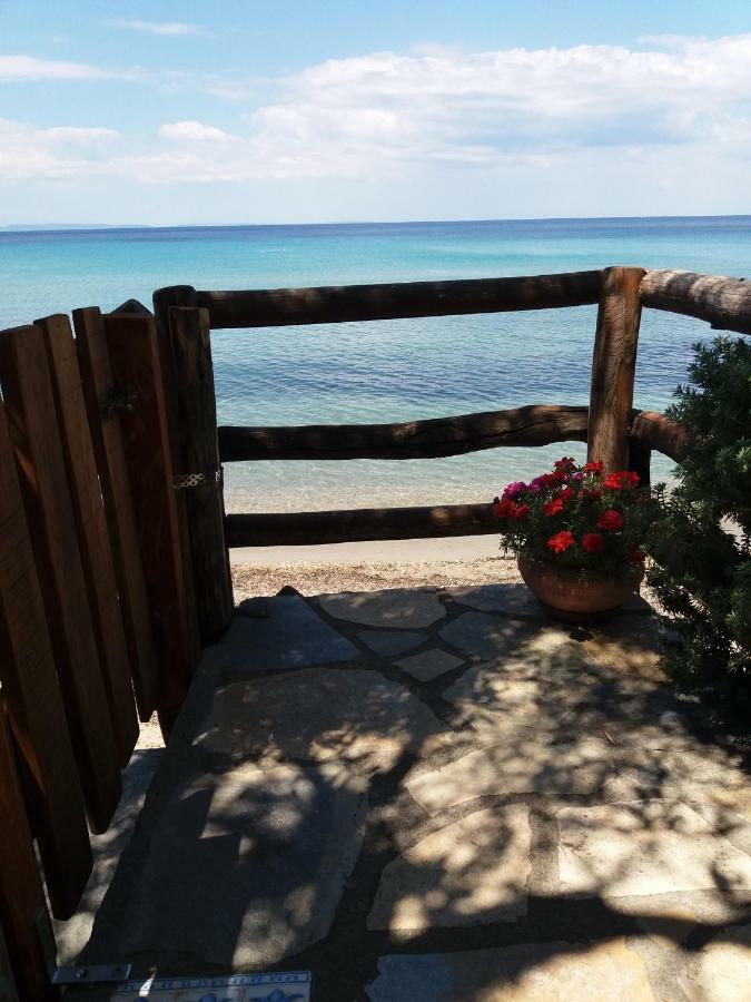 Mare Nostrum نيوس مارماراس المظهر الخارجي الصورة