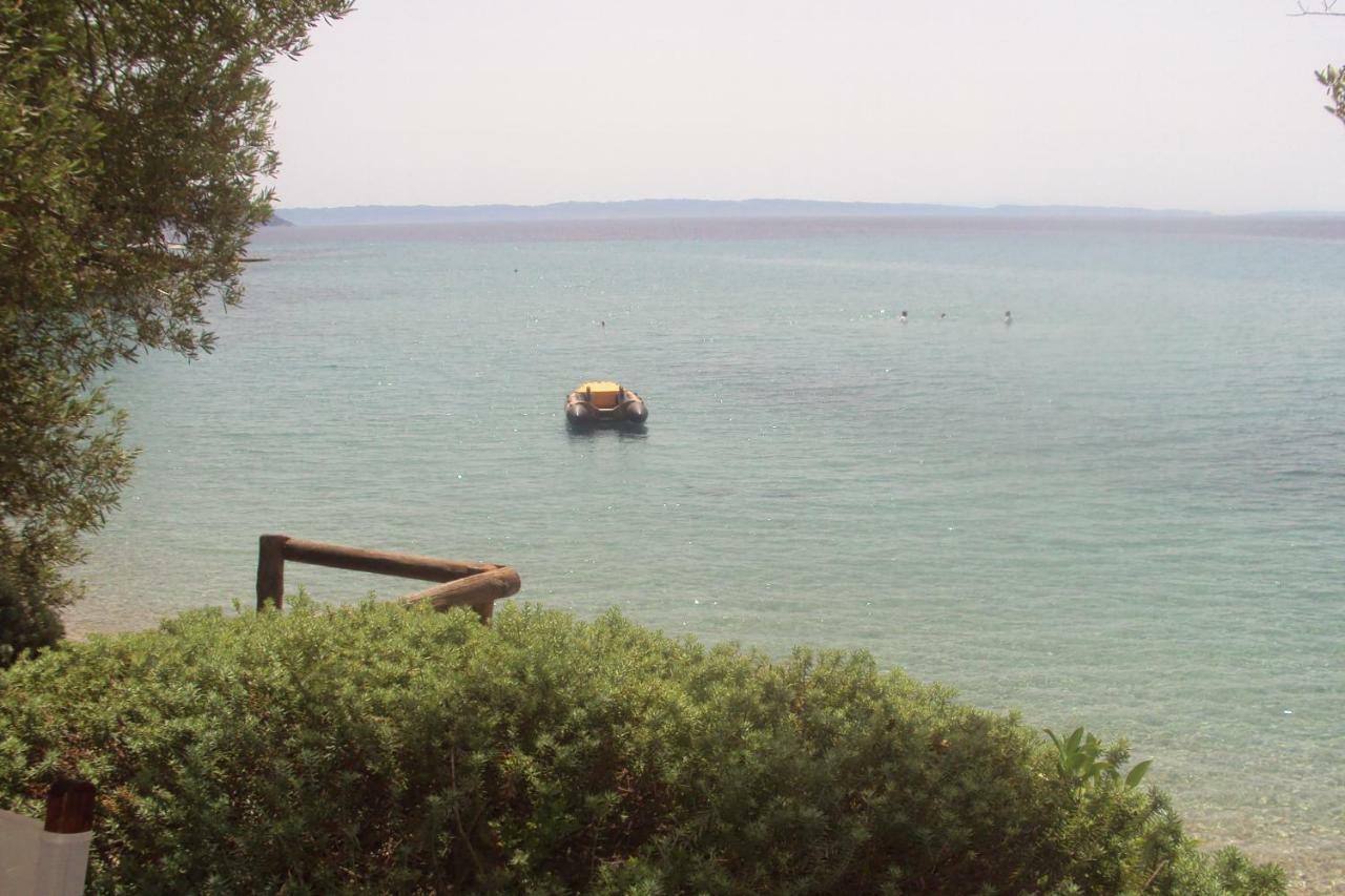 Mare Nostrum نيوس مارماراس المظهر الخارجي الصورة